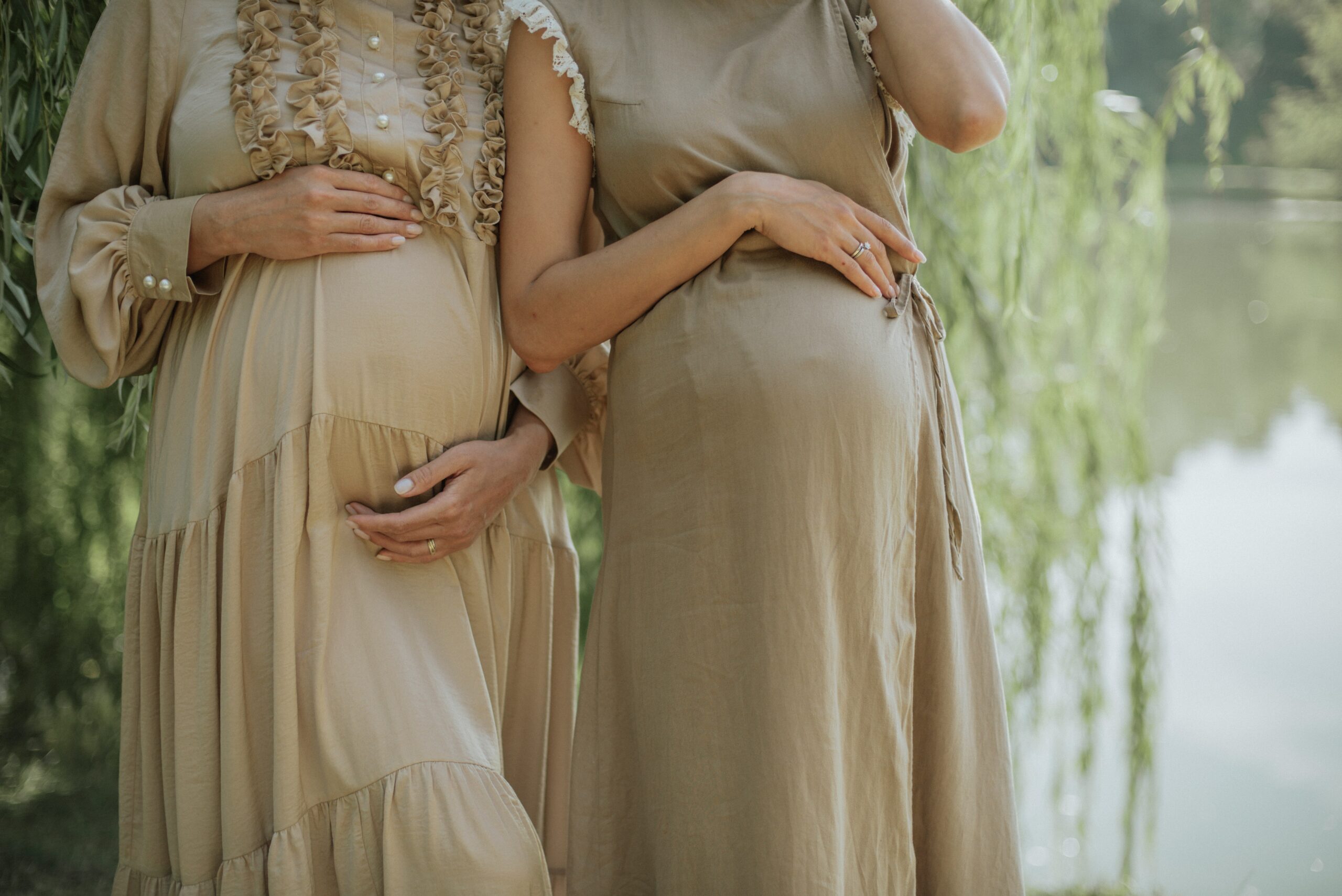 wombs surrogacy