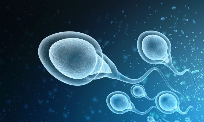Be parent surrogacy, sperm donor