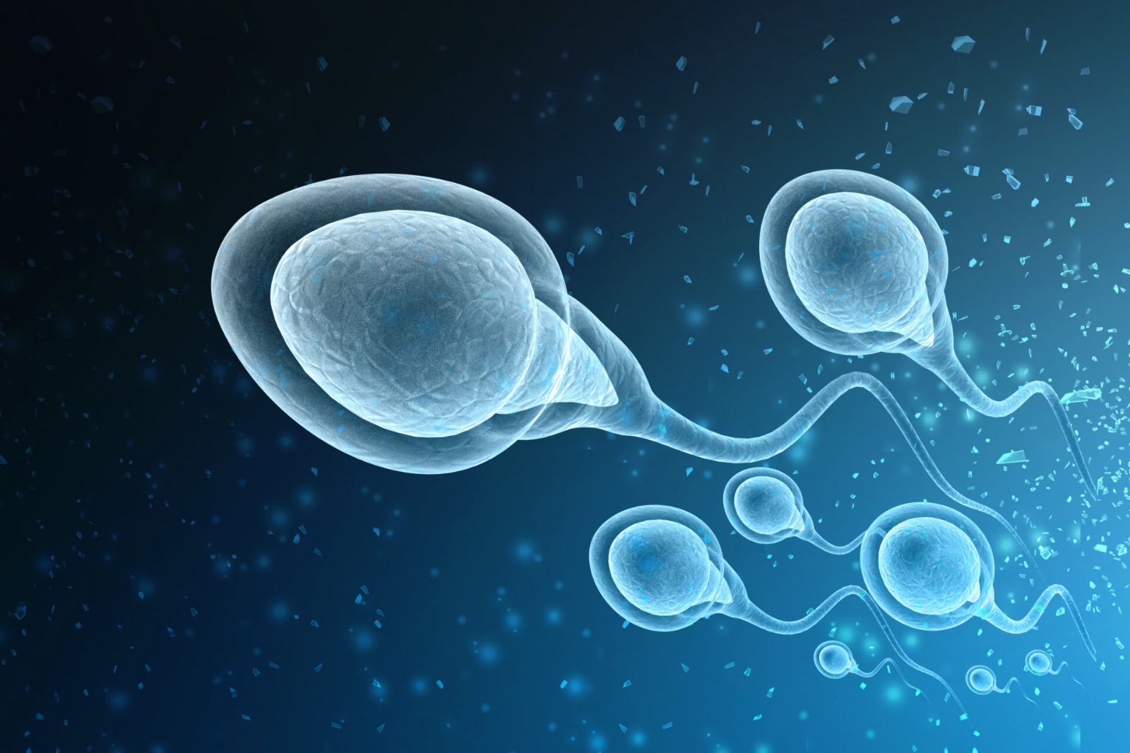Be parent surrogacy, sperm donor