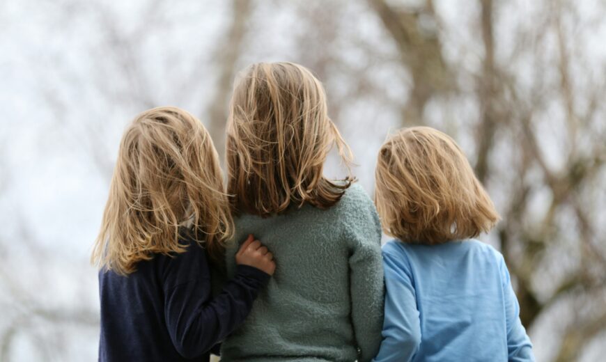 siblings and surrogacy